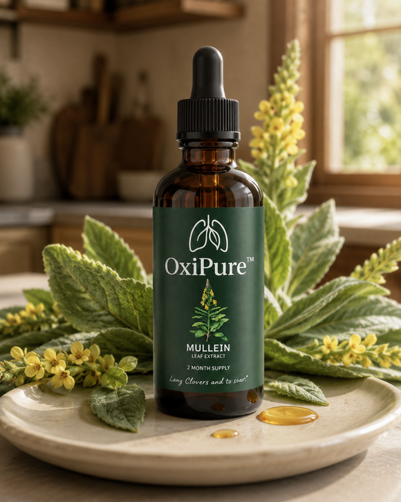 Feature product image